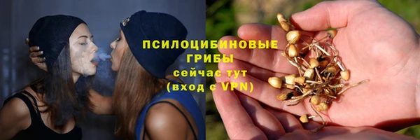 винт Абаза