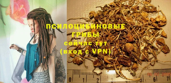 винт Абаза