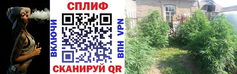 МАРИХУАНА THC 21%  Лакинск 